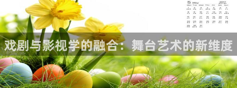 51视频看片