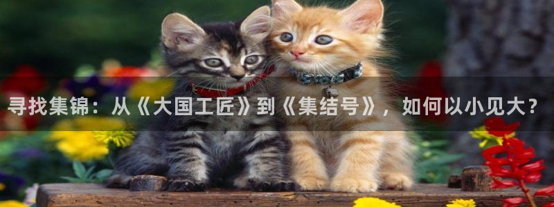 51视频在线观看免费：寻找集锦：从《大国工匠》到《集结号》，如何以小见大？