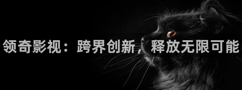 免费的51视频