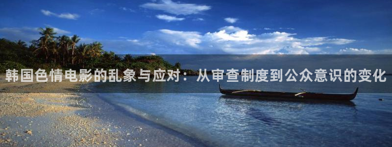 www.51视频在线观看：韩国色情电影的乱象与应对：从审查制度到公众意识的变化