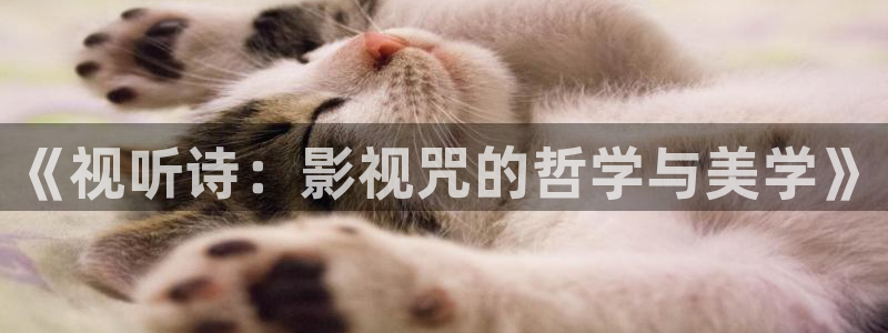 51视频啪啪啪：《视听诗：影视咒的哲学与美学》