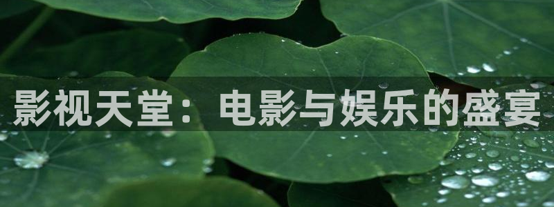 http://51视频.cc/：影视天堂：电影与娱乐的盛宴