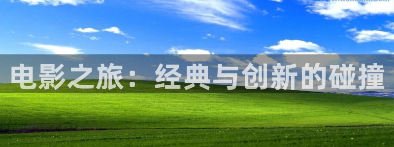 51视频导航：电影之旅：经典与创新的碰撞