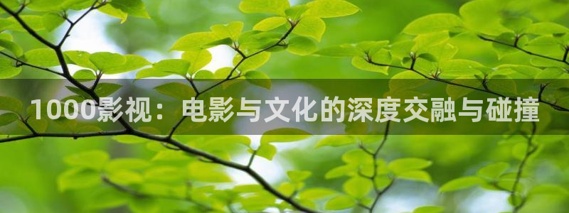 51视频免费版：1000影视：电影与文化的深度交融与碰撞