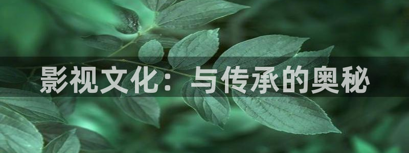 51视频网页版：影视文化：与传承的奥秘