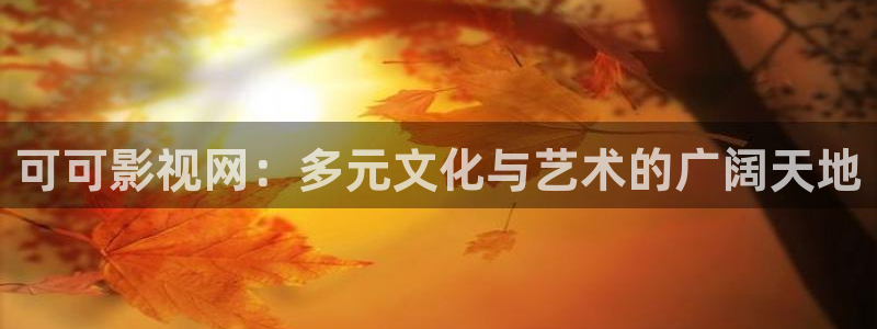 在线观看51视频