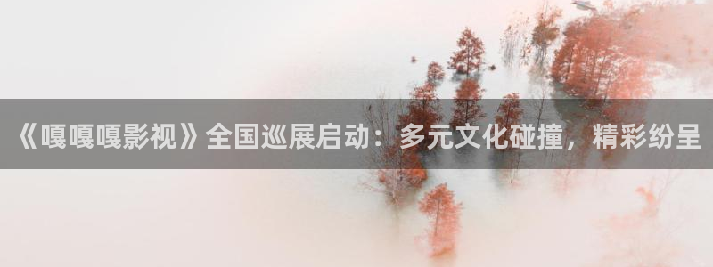 51视频光棍天堂