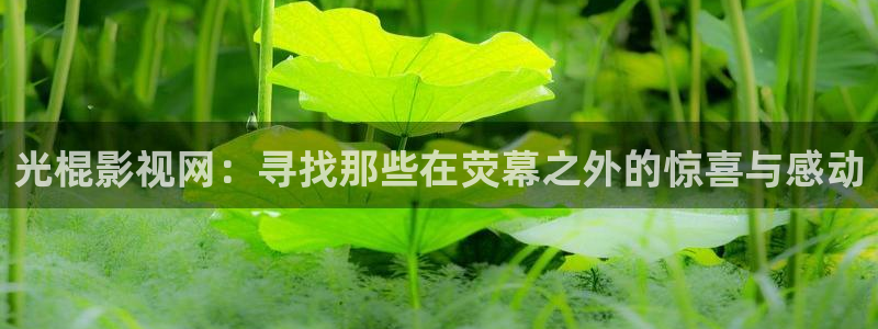 51视频在线视频观看：光棍影视网：寻找那些在荧幕之外的惊喜与感动
