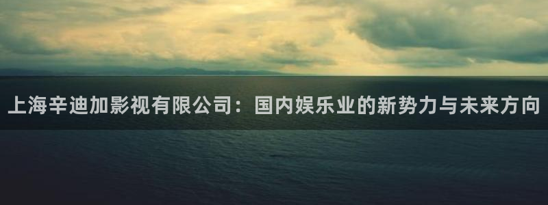 51视频 在线：上海辛迪加影视有限公司：国内娱乐业的新势力与未来方向